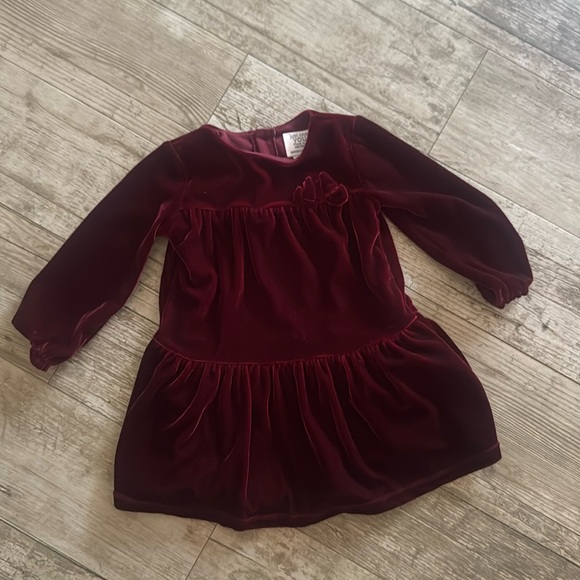 Carter's Other - Velour Toddler Dress